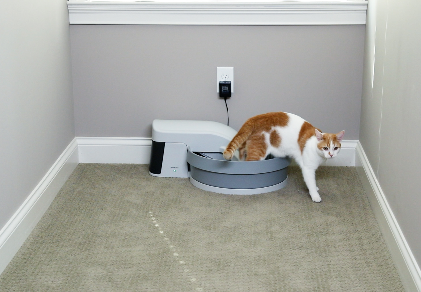 PetSafe® Simply Clean® Automatic Litter Box LOWEST PRICES GUARANTEED