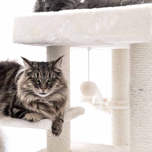 CAT TREE CLEOPATRA 134 (Cream) LOWEST PRICES GUARANTEED FREE DELIVERY