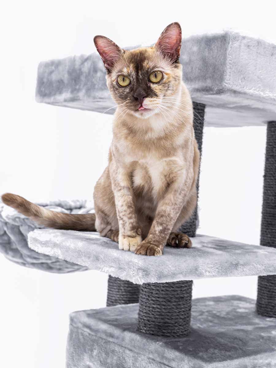 CAT TREE CLEOPATRA 134 (Grey) LOWEST PRICES GUARANTEED FREE DELIVERY