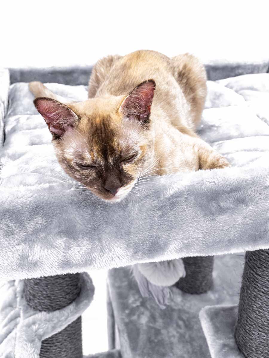 CAT TREE CLEOPATRA 134 (Grey) LOWEST PRICES GUARANTEED FREE DELIVERY