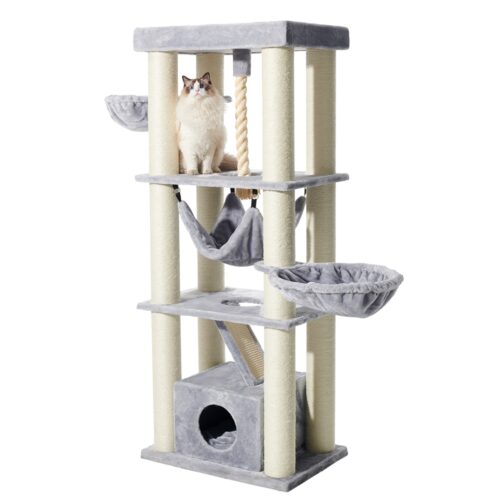 The Ordu Maine Coon Palace