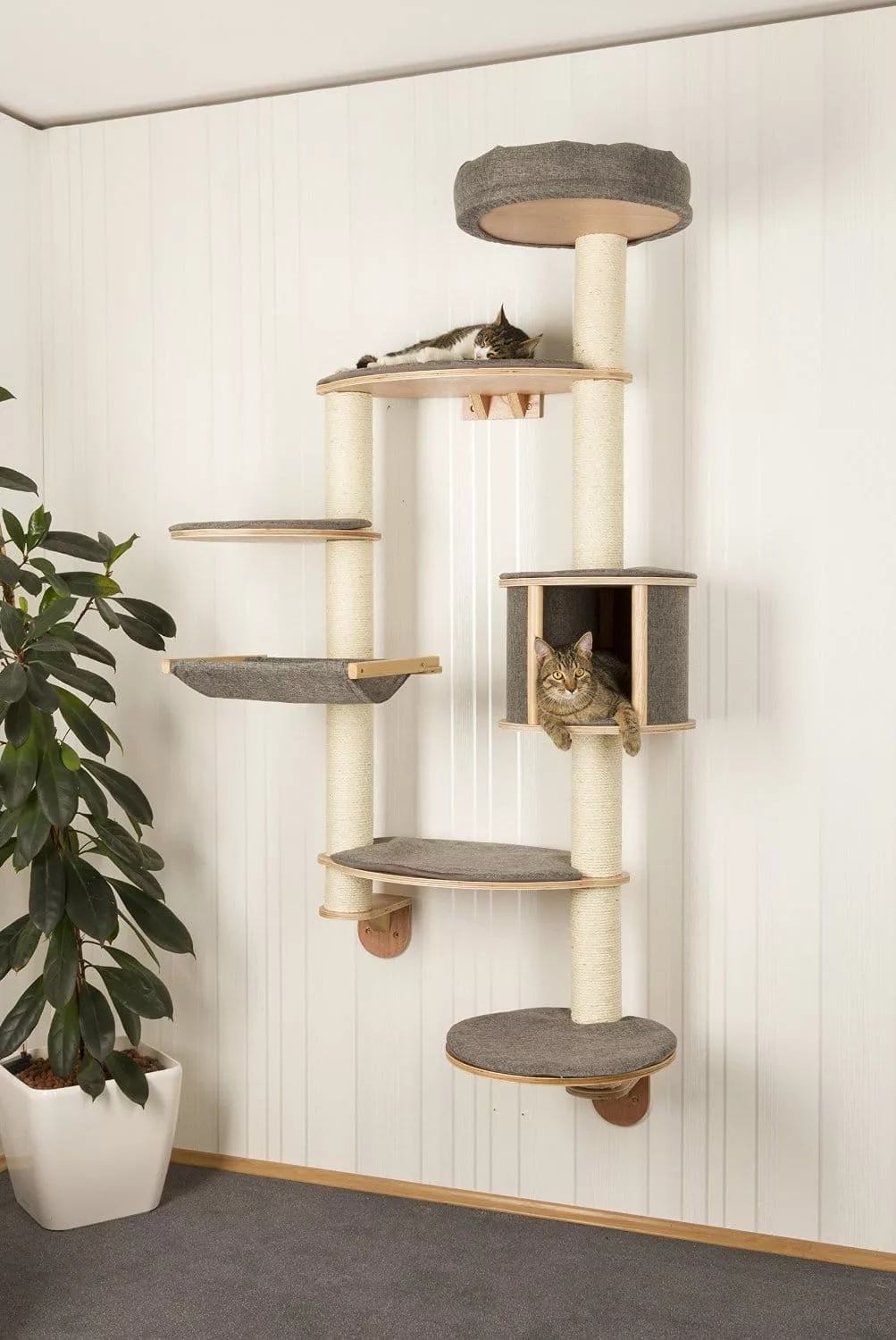 Enhancing Your Home with Cat Shelves Beyond Towers