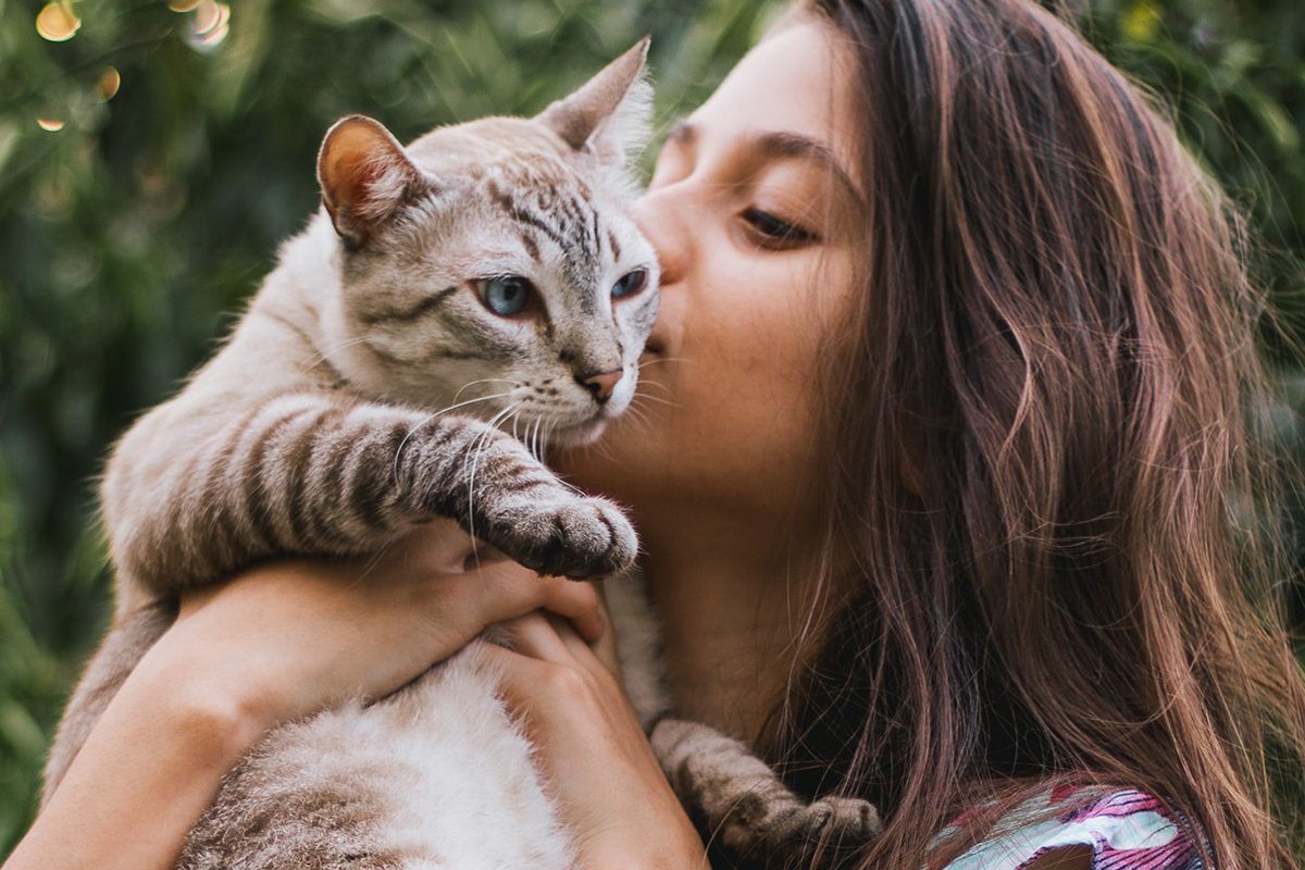 How Do Cats Recognize and Bond with Their Owners?