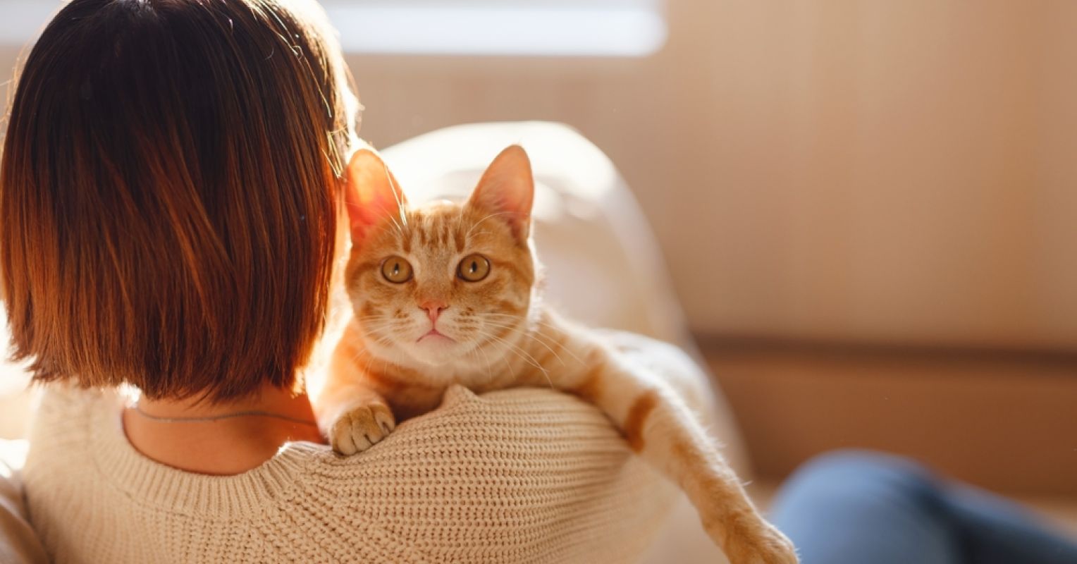 6 Misconceptions About Cat Behavior That Deserve a Rethink