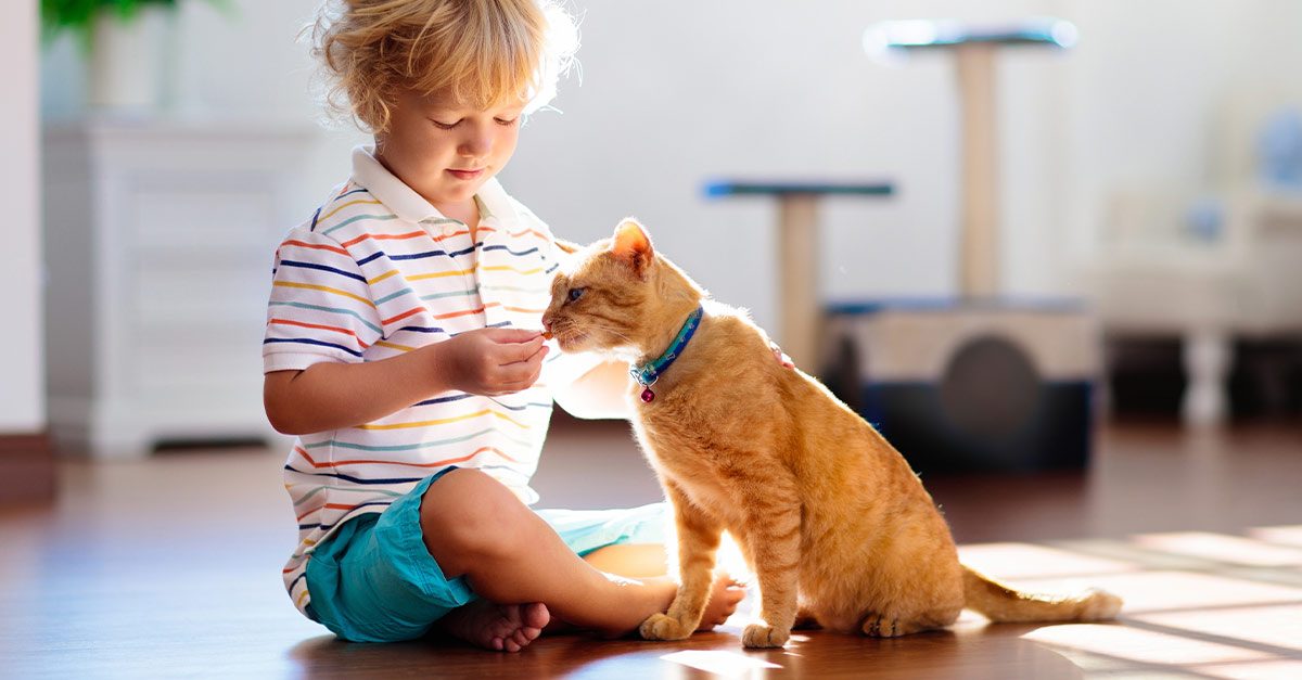 Should You Adopt a Kitten When You Have Kids?