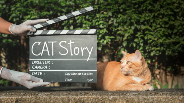 Cats in Pop Culture: Famous Felines in Movies and TV