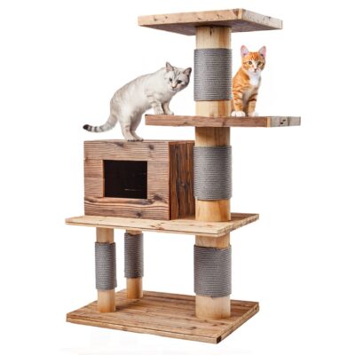 Outdoor Woody Cat Tree