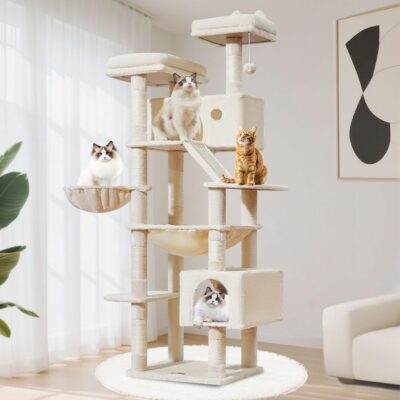 The Cat-ctus Mountain! (Cream)