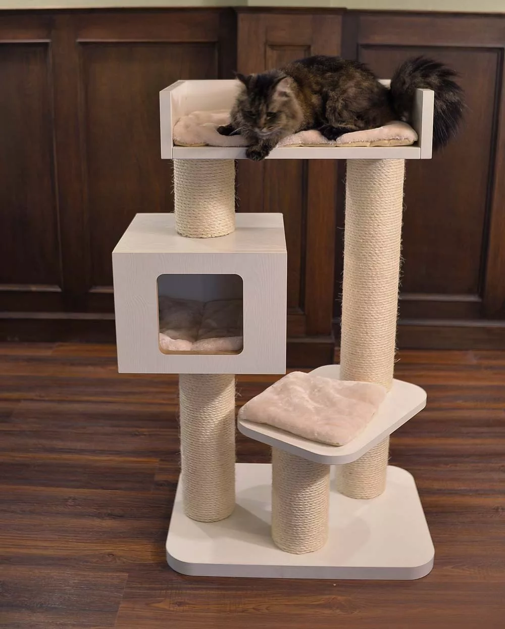 indoor-cat-using-sisal-cat-tree.jpg