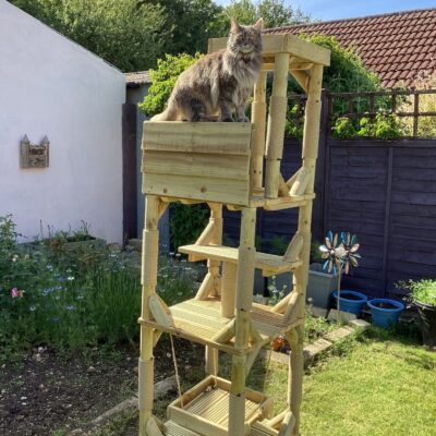 Cat resting on Missy’s Den outdoor wooden cat tree