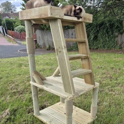Two cats on the upper perch of Tikka’s Ladder Chair