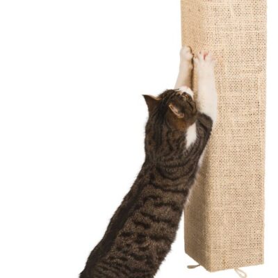Kevin Wall & Corner Cat Scratching Board – 80 × 28cm – additional product view