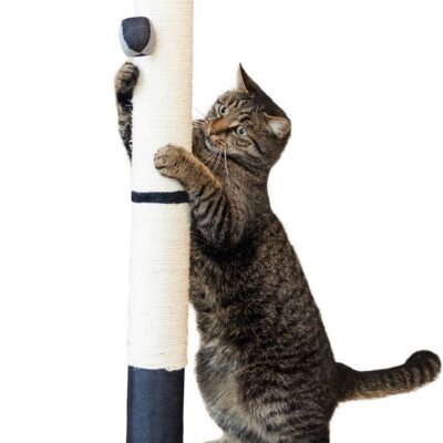 Opal Pro Cat Scratching Post – Grey & Black – additional product view