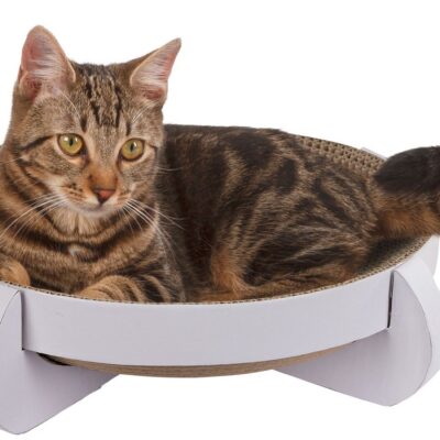 Platinum Cardboard Cat Scratching Bed – White – additional product view