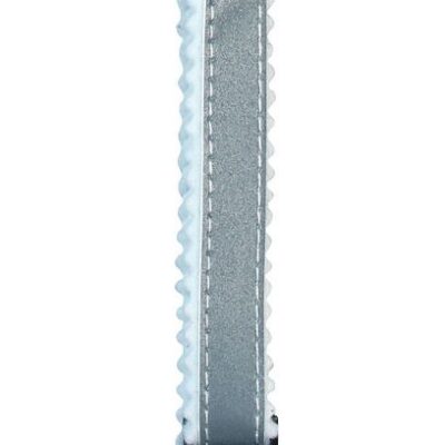 Reflective Cat Collar with Safety Fastener – Silver