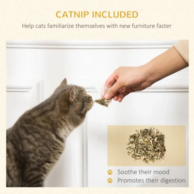 PawHut Cottage Cardboard Cat House & Scratching Board – image 6