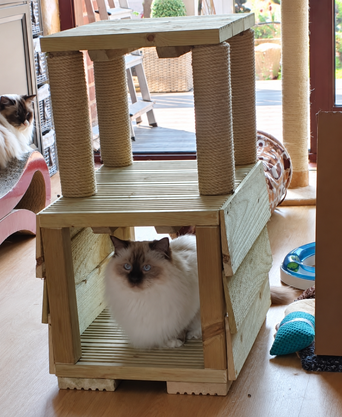 Play Tunnel wooden cat tree with a cat resting in the lower tunnel beneath four scratching posts