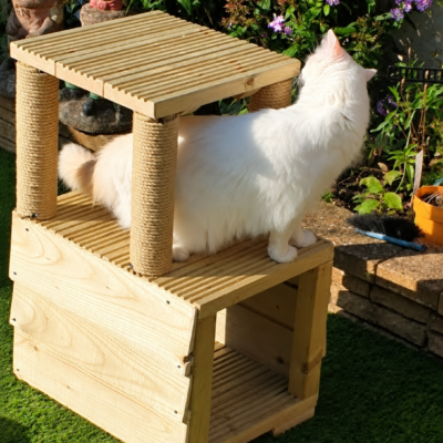 Wooden Play Tunnel outdoor cat tree with rope scratching posts and a white cat on the middle platform
