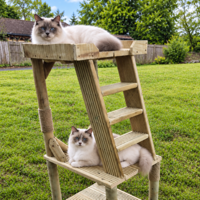 Tikka’s Ladder Chair wooden outdoor cat tree with rope scratching posts