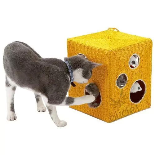 Bobby Le Gruyere Scratch Cube