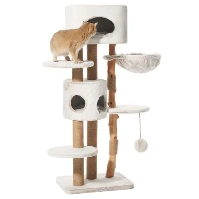 Loya Cat Scratcher